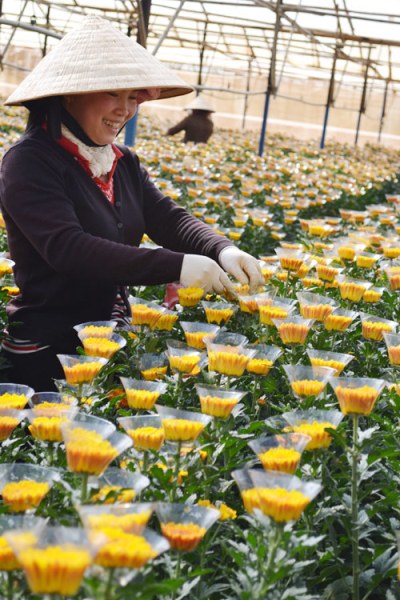 tapchilangviet-5794-1386302781.jpg