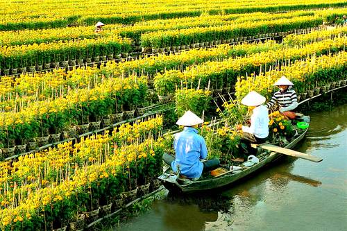 Làng hoa trăm tuổi ở Sa Đéc