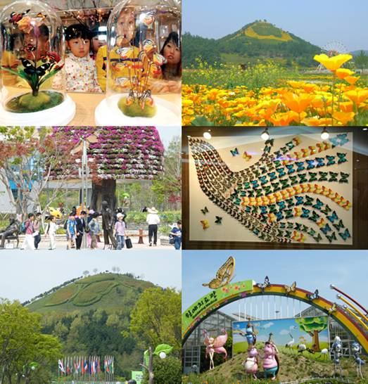 Lễ hội bướm ở Hampyeong.