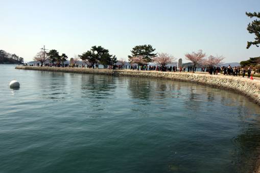 Lễ hội Jinhae Naval Port lần thứ 51.