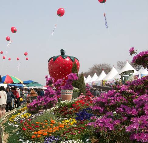Lễ hội dâu ở Nonsan lần thứ 13