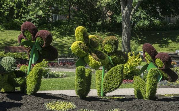 Cuộc thi tạo hình bằng cây và hoa ở canada