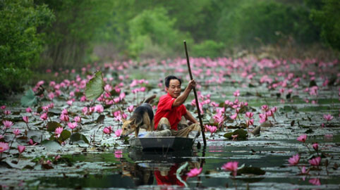 du lịch, suối Yến, chùa Hương
