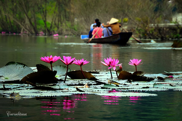 du lịch, suối Yến, chùa Hương