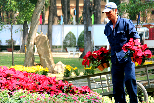 Hội hoa xuân lớn nhất TP HCM trước ngày khai mạc