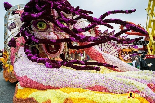 bloemencorso-2014-12