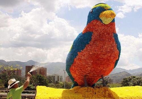 Le-hoi-hoa-medellin-2014