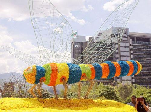 Le-hoi-hoa-medellin-2014