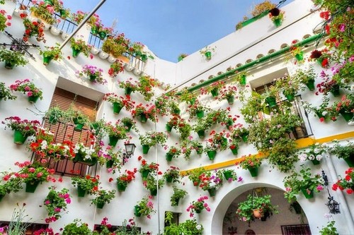 Lễ hội trang trí hoa bên hiên nhà.