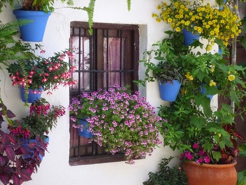 patios-de-cordoba-13
