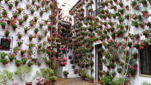 patios-de-cordoba-22