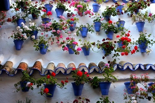 patios-de-cordoba-3