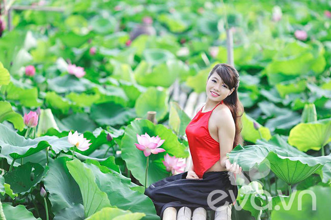 sen, sen Hồ Tây, thiếu nữ, áo yếm