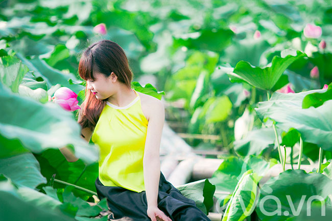 sen, sen Hồ Tây, thiếu nữ, áo yếm