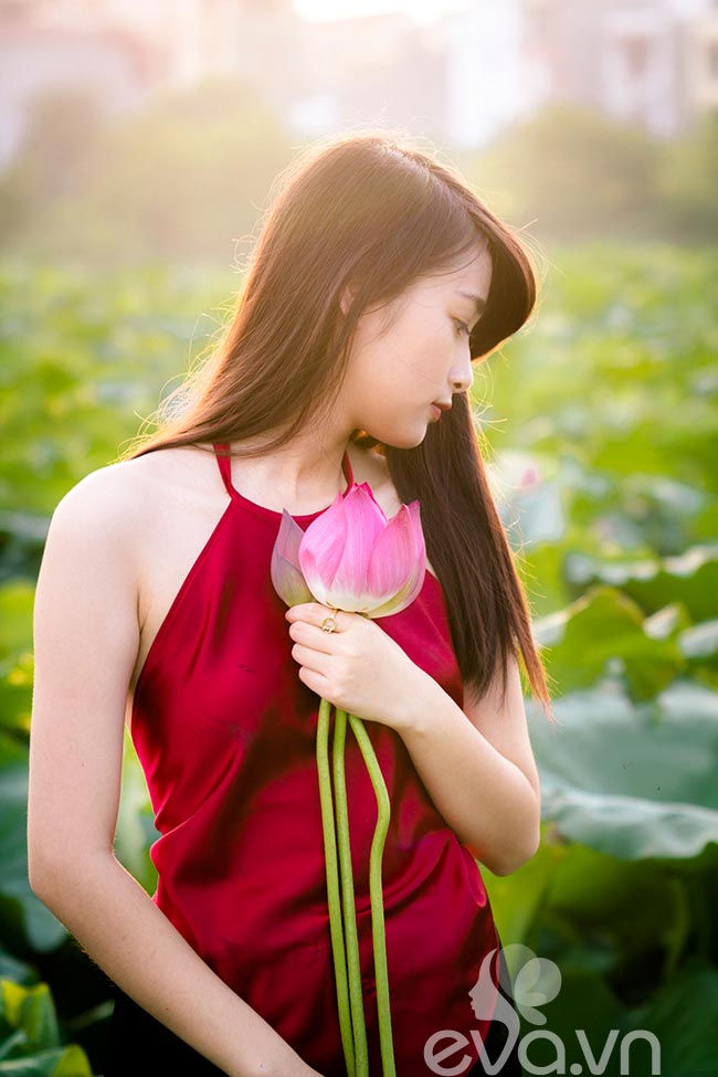sen, sen Hồ Tây, thiếu nữ, áo yếm