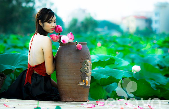 sen, sen Hồ Tây, thiếu nữ, áo yếm