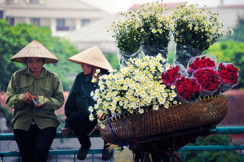 Rực sỡ sắc hoa trên đường phố Hà Nội