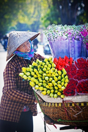 Rực sỡ sắc hoa trên đường phố Hà Nội