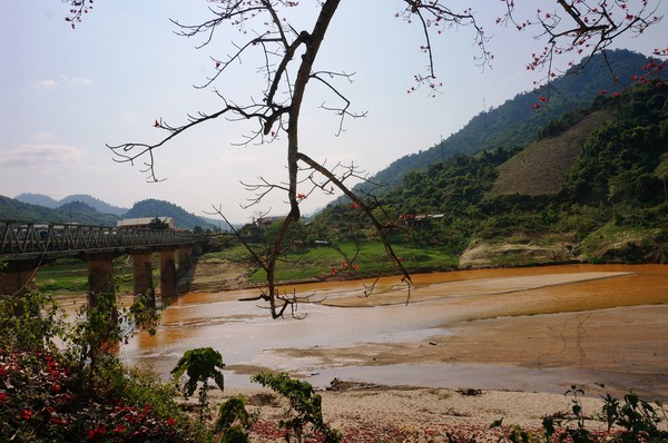 Tháng ba đi tìm hoa gạo 2