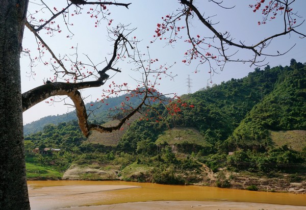 Tháng ba đi tìm hoa gạo 4