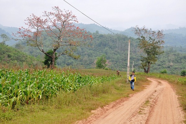 Tháng ba đi tìm hoa gạo 8