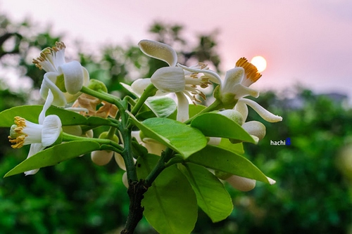 http://ihay.thanhnien.com.vn/Pictures201403/Linh_San/ngay7.3/14.jpg
