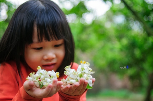 http://ihay.thanhnien.com.vn/Pictures201403/Linh_San/ngay7.3/10.jpg