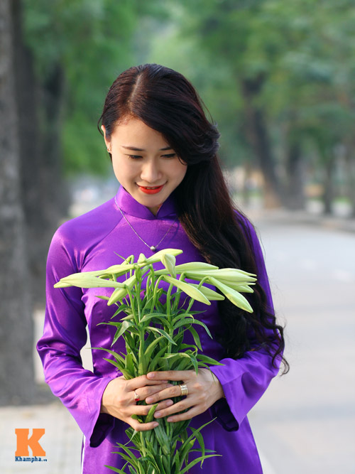 Tháng 4, loa kèn dịu mát từng góc phố Thủ đô