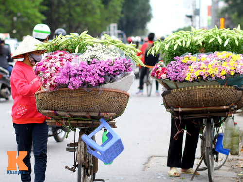 Tháng 4, loa kèn dịu mát từng góc phố Thủ đô