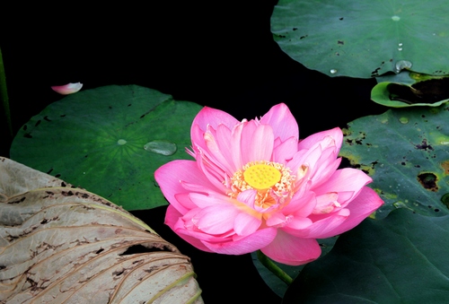 http://l.f15.img.vnecdn.net/2014/06/14/h6-1402759827_660x0.jpg