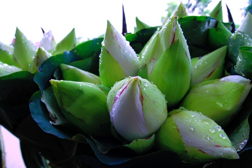 http://l.f13.img.vnecdn.net/2014/06/14/h3-1402756839_660x0.jpg