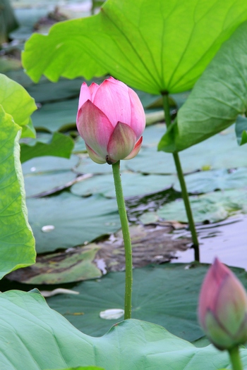 http://l.f15.img.vnecdn.net/2014/06/14/h5-1402759813_660x0.jpg
