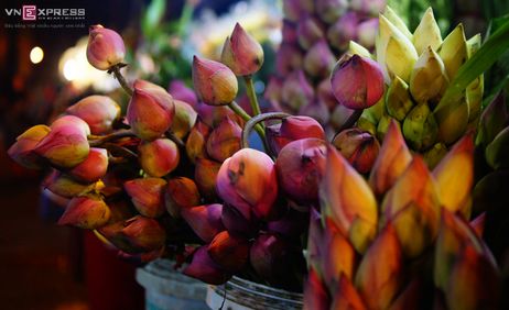 Chợ hoa đêm không ngủ ở Sài Gòn