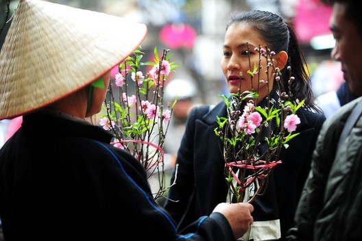 Đào, quất xuống phố