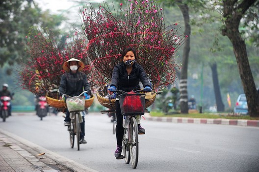 Đào, quất xuống phố