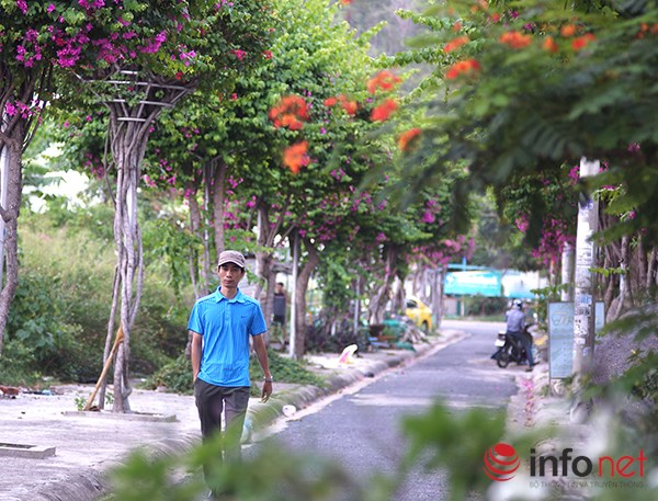 Những cây hoa kết khéo léo theo trụ thành những tán cây trên vẻ hè