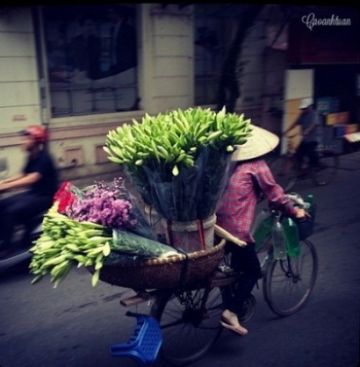 Loa kèn đầu mùa trên đường phố Hà Nội