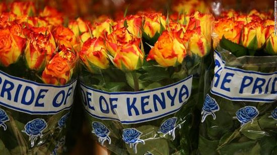 Nền nông ghiệp Hoa của Kenya. Hanoihoa.com