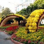 Đường hoa Nguyễn Huệ trước giờ khai mạc