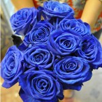 Hoa hồng xanh tiền triệu cho ngày Valentine