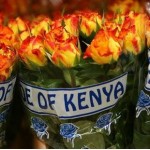 Nền nông ghiệp Hoa của Kenya.
