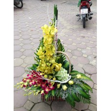 GH023