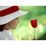 Loài hoa ưa thích tiết lộ nên tính cách của bạn
