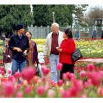 Rực rỡ lễ hội hoa Floriade tại Úc